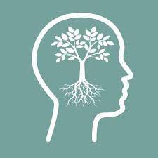 I have used their services a few times now and have never been dissapointed. Mulholland Tree Surgery Home Facebook