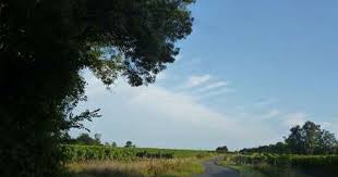 Partout A Travers La Charente Et La Charente Maritime Des Excursions Des Circuits Et Des Sejours Sont Proposes Dans Le Vig Touriste Tourisme Poitou Charentes