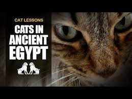 Cats Are Fascinating Felines We Ve Rounded Up 163 Amazing Cat Facts That Will Blow Your Mind Find Out Random Cat Fa In 2020 Cats In Ancient Egypt Cat Facts Egypt Cat