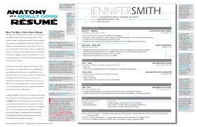 It is often used in health care and the natural sciences. The Anatomy Of A Really Good Resume A Good Resume Example The Visual Communication Guy