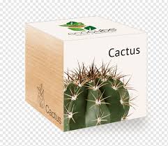 This list may surprise you very much! Plants Vs Zombies Garden Warfare 2 Cactaceae Succulent Plant Plant Cactaceae Cactus Arecaceae Png Pngwing