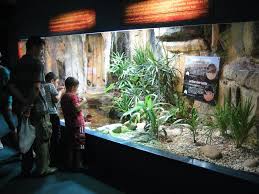 Epingle Par Peter Daly Sur Vivarium Animalier Zoo Parc