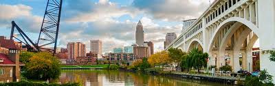 Read real reviews and see ratings for cleveland nurseries near you to help you pick we can build a single planting bed to grow perennial flowers, or we can develop an area of five jindra floral design. 11 Best Flower Delivery In Cleveland Oh Consumeraffairs