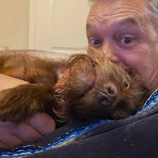 Idiot' YouTuber who risked extinction of isolated tribe with Diet Coke  stunt faces 5 years in jail (link in the comments)