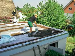 Dachbegrunung Anlage Pflege Und Kosten Dachbegrunung Flachdach Begrunung Flachdach Gartenhaus