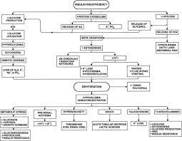 Diabetic Ketoacidosis Veterian Key