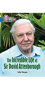 Collins Big Cat ― Women In Medicine: Band 16/Sapphire: Thomas, Isabel,  Moon, Cliff: 0000008127891: Amazon.com: Books