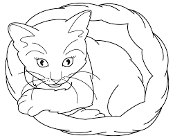 realistic animal coloring pages coloring cool