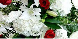 We have beautiful roses, orchids, tulips, plants…virtually everything floral. Baton Rouge Florist Baton Rouge Flower Delivery Heroman S Florist