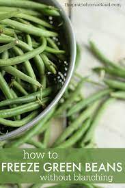We did not find results for: How To Freeze Green Beans The Prairie Homestead