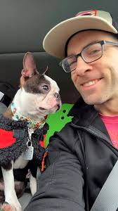 Maui loves his papa ☺️ and the funny noises he makes #dogreelsfb #dogreels  #bostonterrier #dogdad