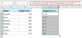 How to convert cm or m to feet and inches in Excel?
