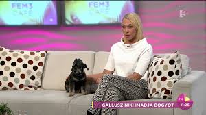 A madách színházban novembertől a régi és új szereposztás keverve játsza a 'macskák' c. Gallusz Nikit Ezzel Kergeti Az Oruletbe A Kutyaja Tv2 Hu Fem3cafe Youtube