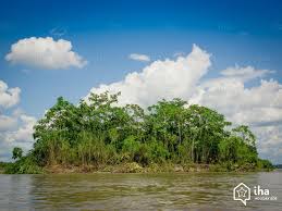 17 feb, 10 mar, 8 sep, 6 oct, 10 nov. Vermietung Suriname In Einem Haus Fur Ihren Urlaub Mit Iha Privat