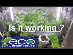 Contact phone number goes to a company that did not know the site existed. Is It Really Working The Eco Garden House Grow Indoors 247365 The Wisconsin Vegetable Gardener Youtube