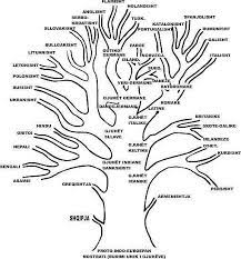 Trungu.info - How old is the Albanian language, in what geographical coordinates was it spoken, how has it evolved, which peoples have communicated through it and its dialects, what are its historical relations?