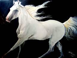 خلفيات خيول مكتوب عليها شعر