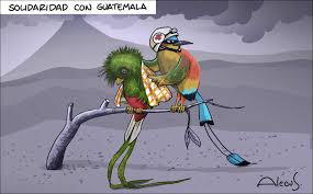 It does not adapt well to captivity. Daniel Alvarenga Auf Twitter The Torogoz The National Bird Of El Salvador Comforts The Quetzal The National Bird Of Guatemala In The Wake Of The Deadly Volcandefuego Eruption Artwork By Acleus Via
