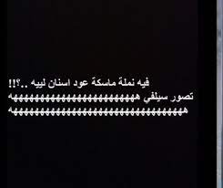 نكت عن النمل تموت ضحك إقرأ نكت تموت ضحك نكت نمل 2018 في نمله تزوجت ذبانه ليه