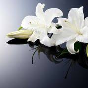 Consultez les 18 avis sur a2presse avant d'acheter avec nos bons plans et réductions ou partagez votre expérience ! Cherchez Les Avis Parus Tous Les Avis