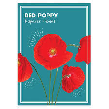 Image result for Poppy Red 1996 AAV