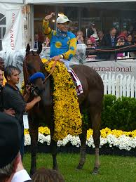 American Pharoah Will Travel To Australia Horse Illustrated