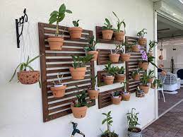 My Orchid Wall Orchid Planters Diy Orchids Orchid Flower Arrangements