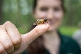 Forest Preserve District of DuPage County