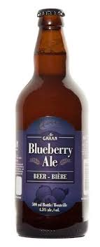 Blueberry Ale Cervejas Artesanais Bebendo Cerveja Melhores Cervejas