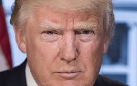 The Monarchical President