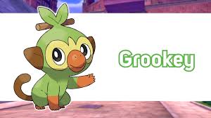The cute, fiery lizard eventually evolves into charizard, easily one of the most iconic pokémon of all time. What Are The Pokemon Sword And Shield Starter Pokemon Allgamers