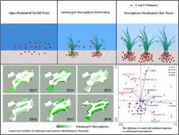 Wang weili is on facebook. Spatial And Seasonal Variation Of Water Parameters Sediment Properties And Submerged Macrophytes After Ecological Restoration In A Long Term 6 Year Study In Hangzhou West Lake In China Submerged Macrophyte Distribution Influenced By