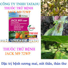 Jack M9 72WP