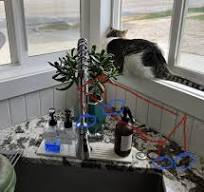 Aide à la conception d'une plateforme pour chat faite maison ...