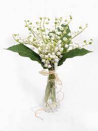 Freesia Flowers Tesco Best Flower Wallpaper