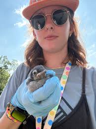 Every day I save resources to try to upgrade stronghold. Next morning all  resources are down to nothing? Why is this?