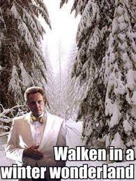 Finniest Snow Memes Ever17 Christmas Humor Funny Pictures Walken