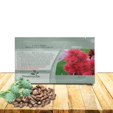 Image result for Ricinus communis