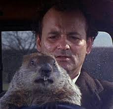 11 facts about groundhogs