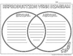 Pin On Graphic Organizers