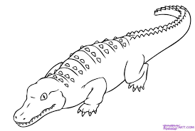 Saltwater Crocodile Google Search Dinosaur Coloring Pages Super Coloring Pages Coloring Pages To Print