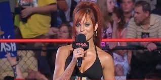 Why Christy Hemme Was Released From WWE, Explained