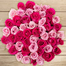 Image result for Roses
