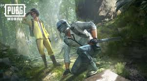 Payload mode in pubg mobile: What Is Mysterious Jungle Mode Of Pubg Mobile Hindustaan Times