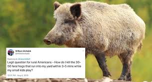 Legit is a form of the name leggett. Legit Question For All Americans What S Up With The 30 50 Feral Hog Meme On Twitter