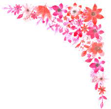 Fiore di ciliegio acquerello dipinto a mano clipart, sakura, rosa. Confine Telaio Fiori Grafica Vettoriale Gratuita Su Pixabay
