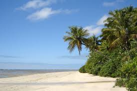 Mumbai india + 91 982 0454541. Die 10 Schonsten Strande In Brasilien Latin Mag
