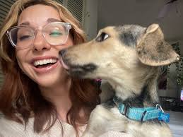 Are there any trustworthy dog walkers in Merrimack, NH with experience  handling reactive dogs?