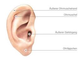 Komische pickel im ohr sind nervig, lösen oft starke, drückende schmerzen aus, sehen hässlich aus und können den gehörgang verstopfen. Stechen Im Ohr Ursachen Symptome Und Therapie Heilpraxis