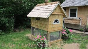 Here are 10 reasons why you should raise them. Building Our Quail Coop The Chicken Chick